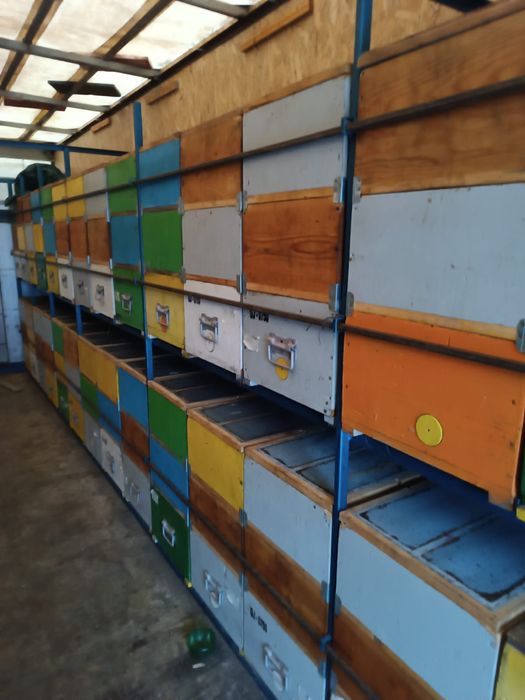 Camion omologat apicol