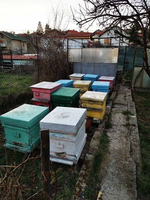 Продавам Пчелен  мед