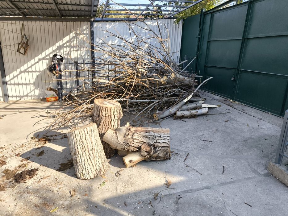 Ветки, ствол, орех на дрова