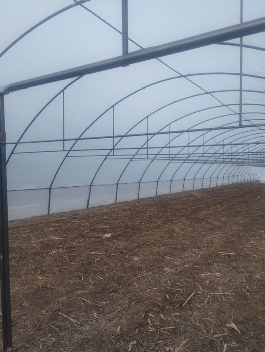 Solarii pentru familie reduceri mari