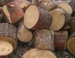 Продам дрова сосна