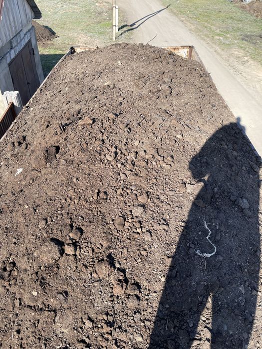 Перегной Көң ㅤㅤㅤㅤㅤㅤㅤㅤㅤㅤㅤㅤ