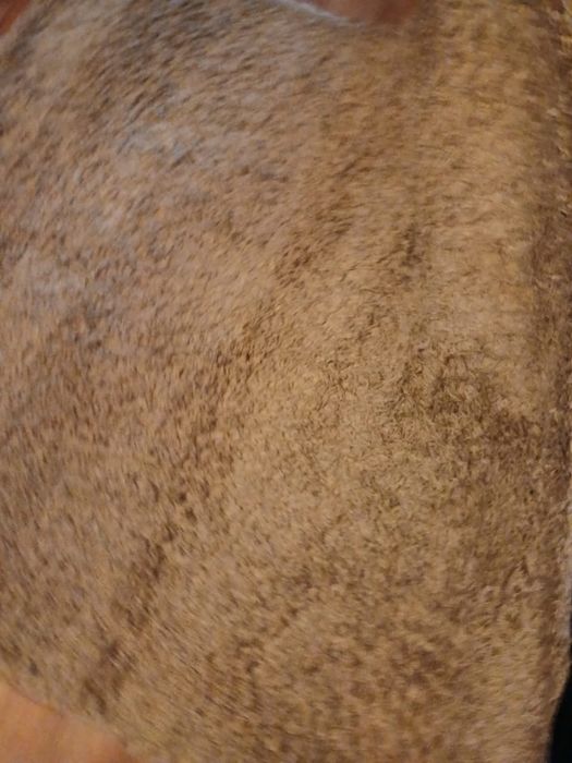 Дорожка 6000 тенге