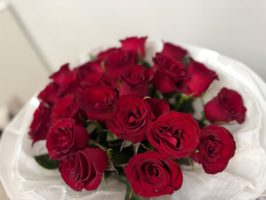 Роза 25 шт свежая