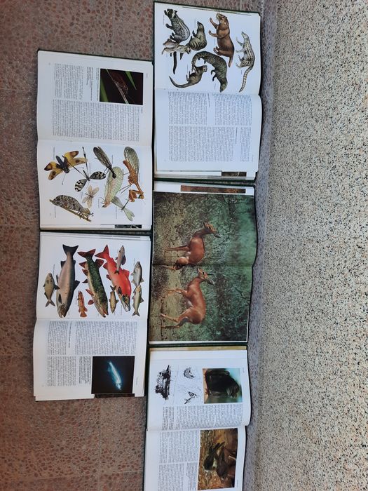 Енциклопедии за животните 5бр.