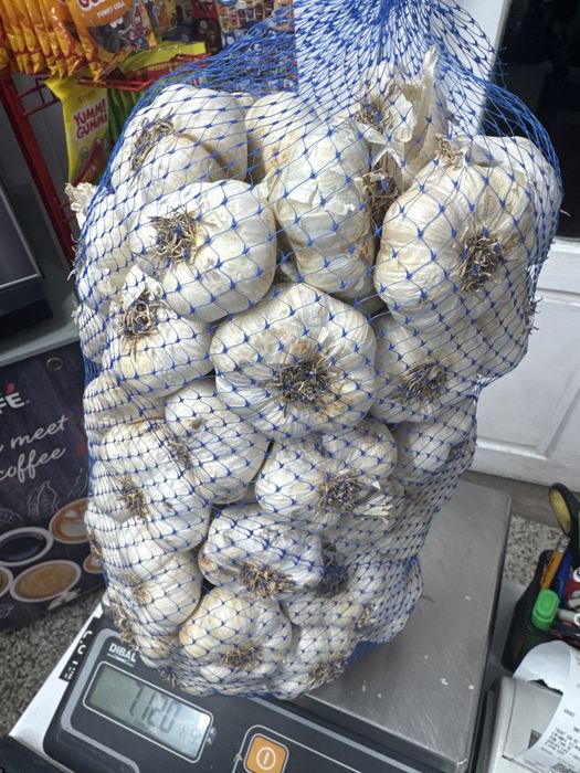 Био Чесън Български