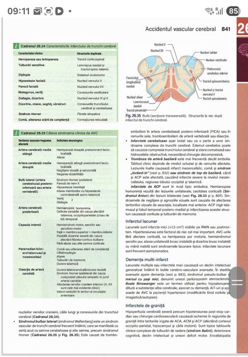 Meditatii Pregatire pentru Examenul de Rezidentiat 2026