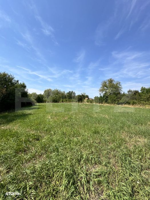 Proprietate superba in Damieni! cu potential enorm comercial! 550mp ut