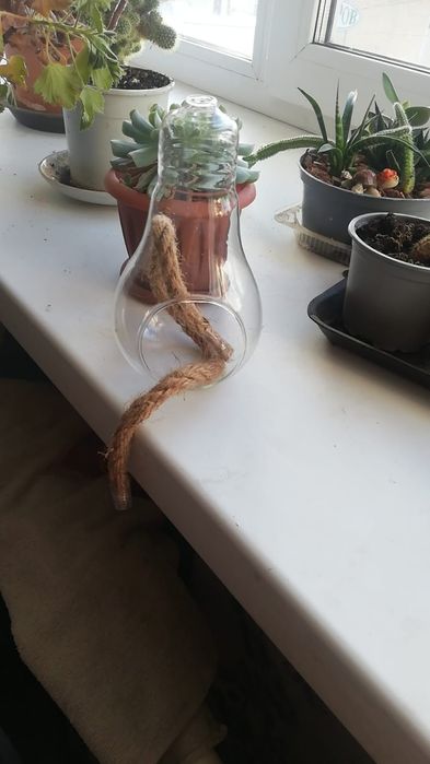 Продам флорариум