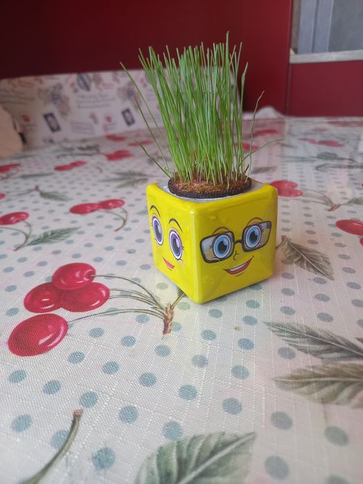 Емотикончо Тревичко - подарък за всеки повод