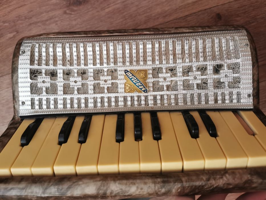 детский аккордеон МАЛЫШ