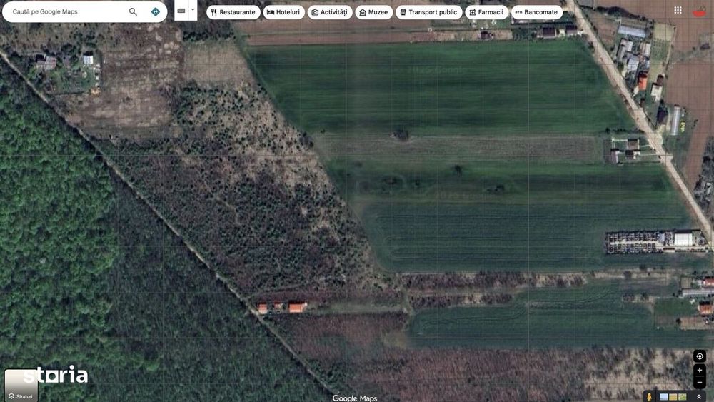 `Teren langa padure, Snagov - Strada Parcului