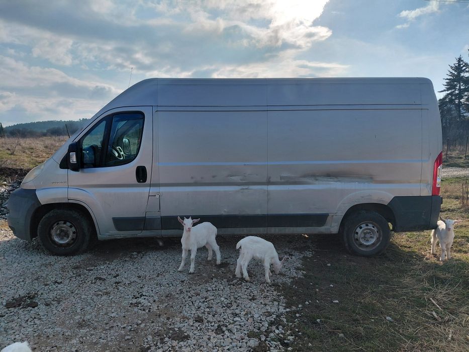 Пежо Боксер/Peugeot Boxer