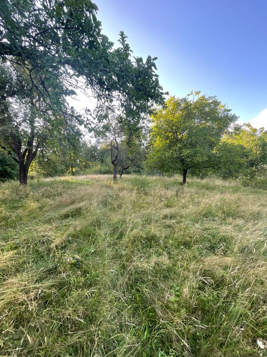 Teren intravilan de vânzare – 7.287 mp – Ibănești Pădure