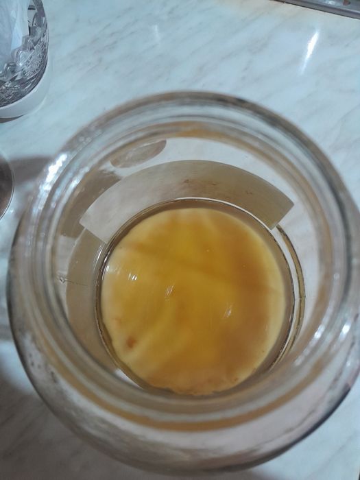 Продам чайный гриб (р-н Шанхай)