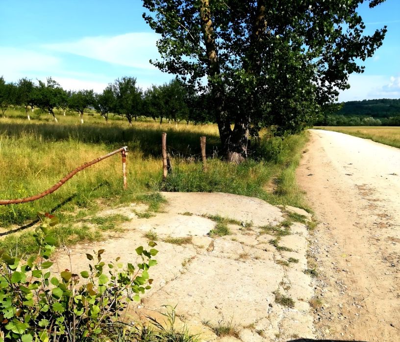 Teren intravilan  Finteusul Mare