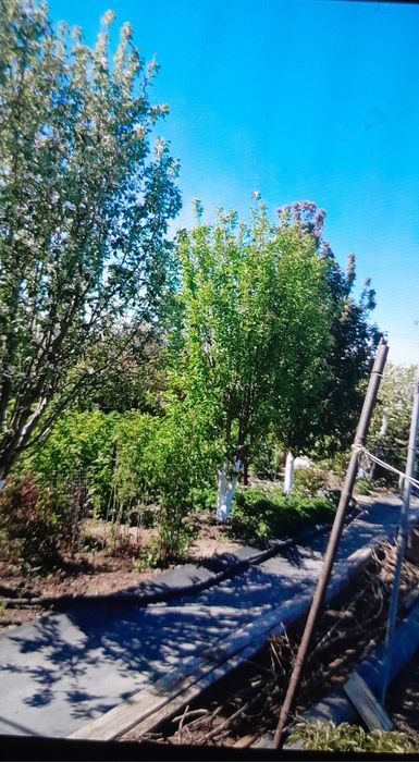 Продам дачу автообъеденения