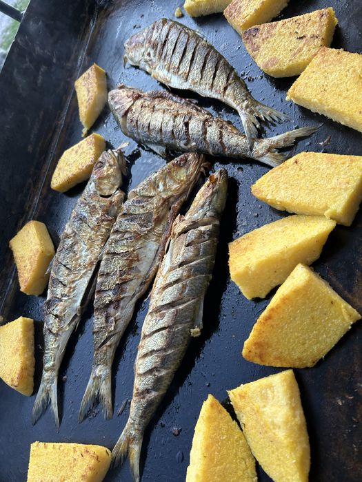 Vand plita scoici  , pește pe gaz