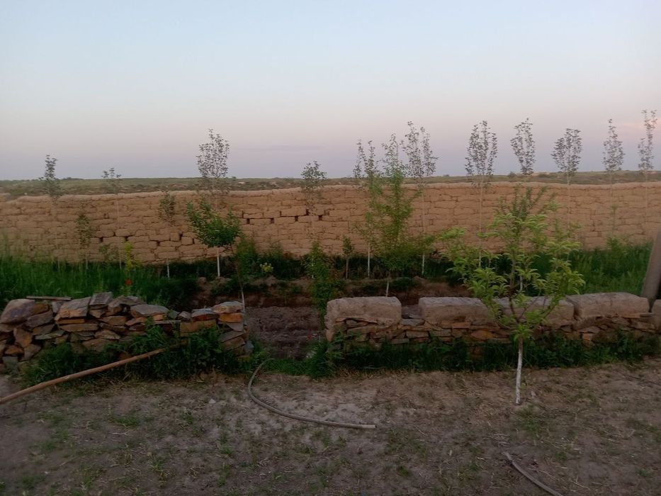 Jizzax viloyati zarbdor tumani Oqbuloq mfyda 6 soʻtix uy sotiladi