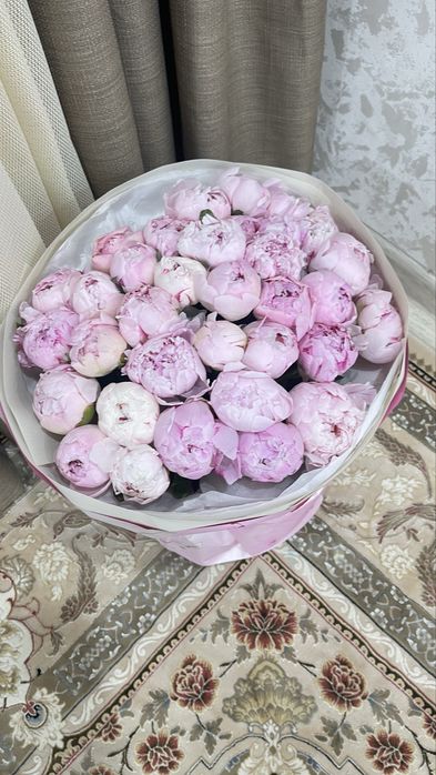 Цветы пионы 35 шт