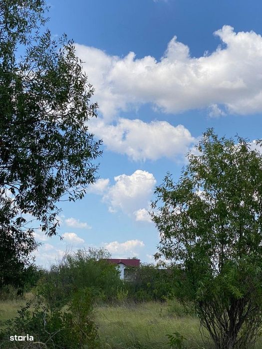 Trestieni - Ulmi, vanzare teren 1.663mp, intravilan