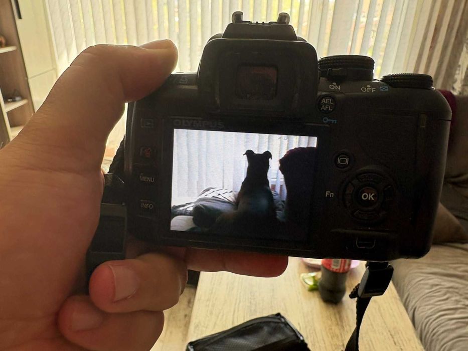 Olympus E-420 DSLR двоен кит 14-42mm + 40-150mm употребяван с аксесоари