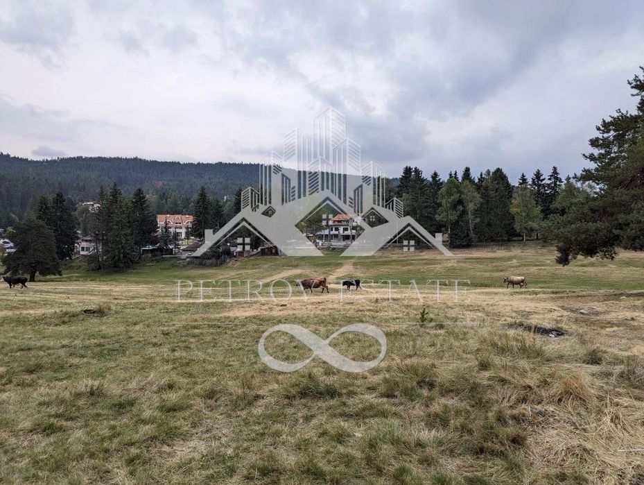 Продава се Парцел в с. Юндола, Област Пазарджик - 817 кв.м за 85 €/кв.м - Снимка #4