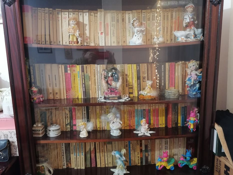 OFERTA : Vând cca 450 cărți de literatura română și universală