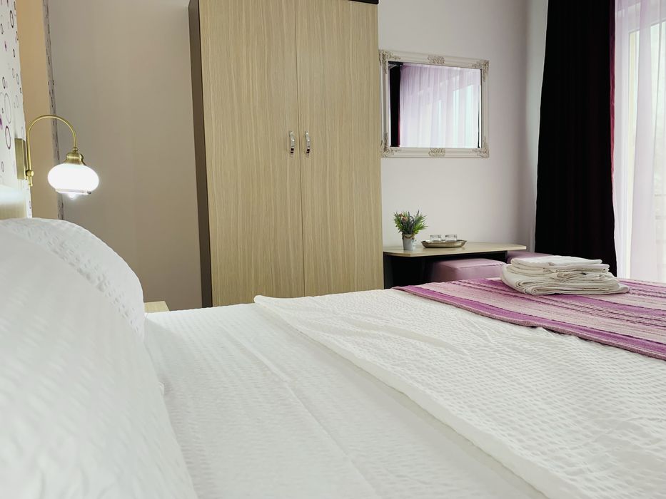 Cazare Baile Herculane Casa Neamtu 3 *