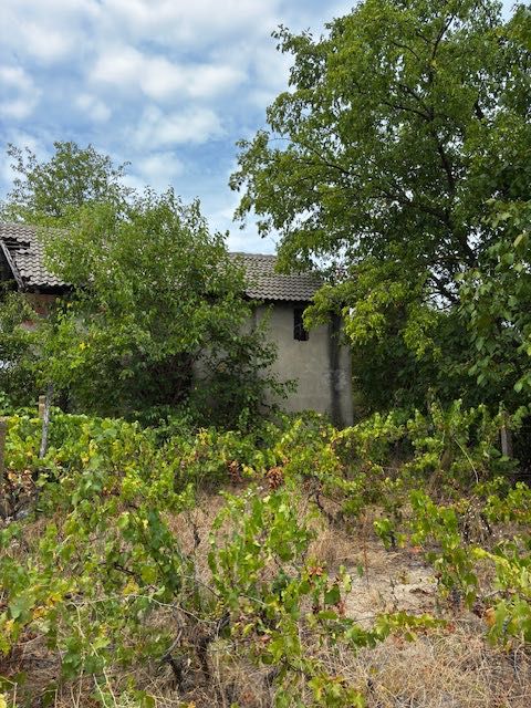 Продава се Къща в Силистра, Римска гробница - 70 кв.м за 183 €/кв.м - Снимка #5