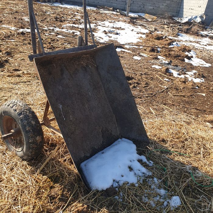 Тачка  арба  екі  дөңгелекті