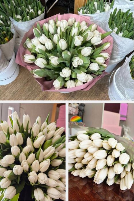 Белые Тульпаны 80см
