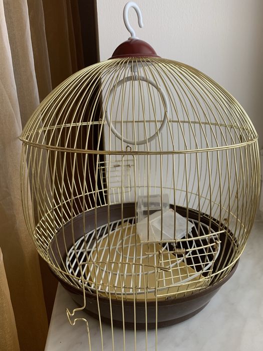 Клетка птиц.