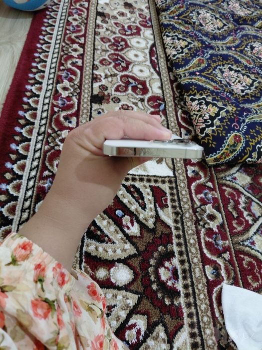iPhone 13 Pro Max srowna
