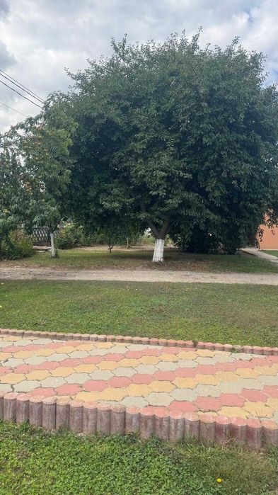 Casă cu pod mansardabil, 20 km de Delta Dunării