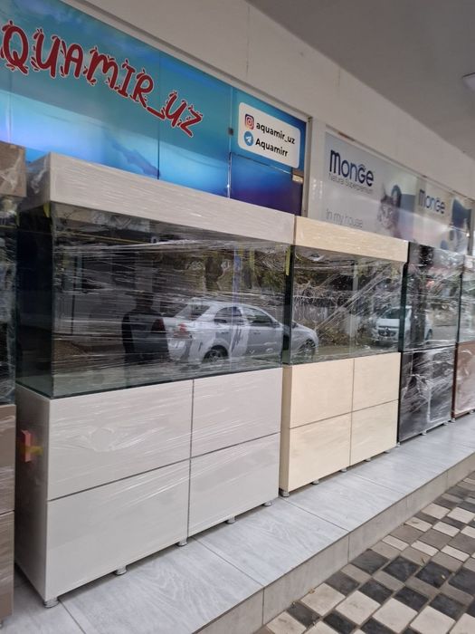 Akvarum va baliq magazin