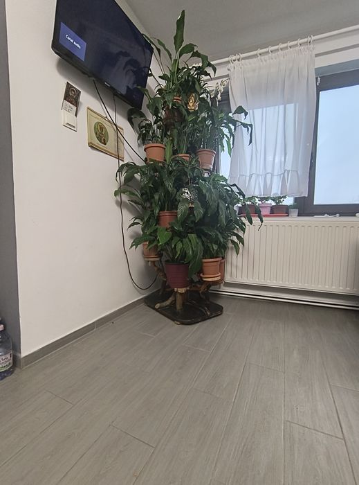 Vând suport etajat de flori