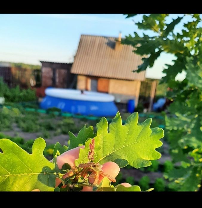 Продам дачу общество ,,Легенда,, оз.Пёстрое