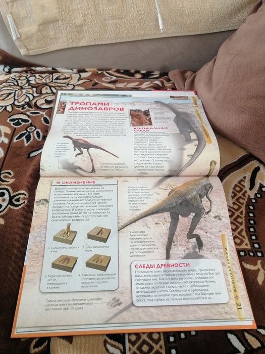 Книга про динозавров