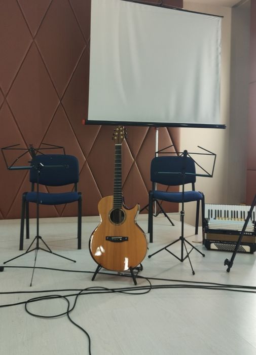 Chitara electro-acoustica Terry Pack