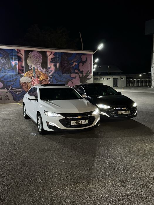 Rent car прокат авто