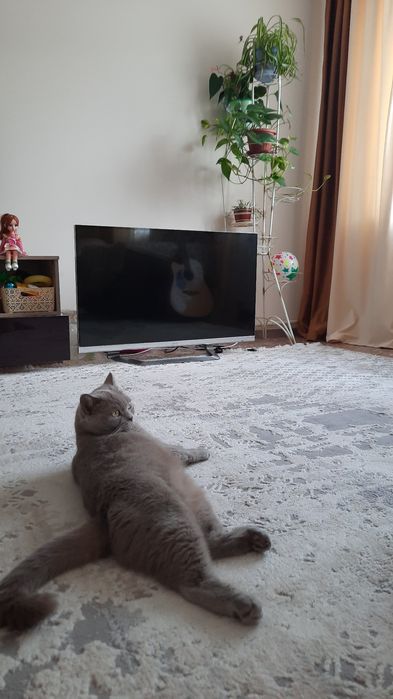 Продам телевизор LG.