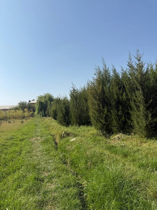 Majjivelnik har xil razmerda