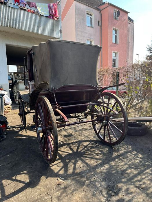 Файтони зелен и бордо