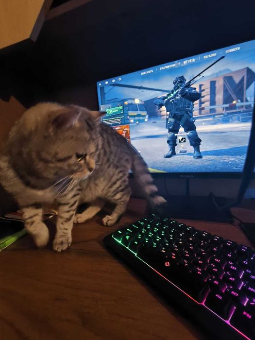 Игровой компьютер