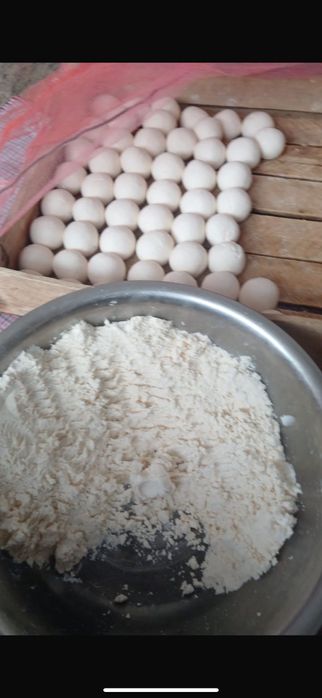 Курт , құрт, таза қазғұрдтыкы