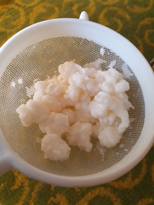 Cristale Japoneze si Ciupercă Tibetană pt Kefir de apă /lapte