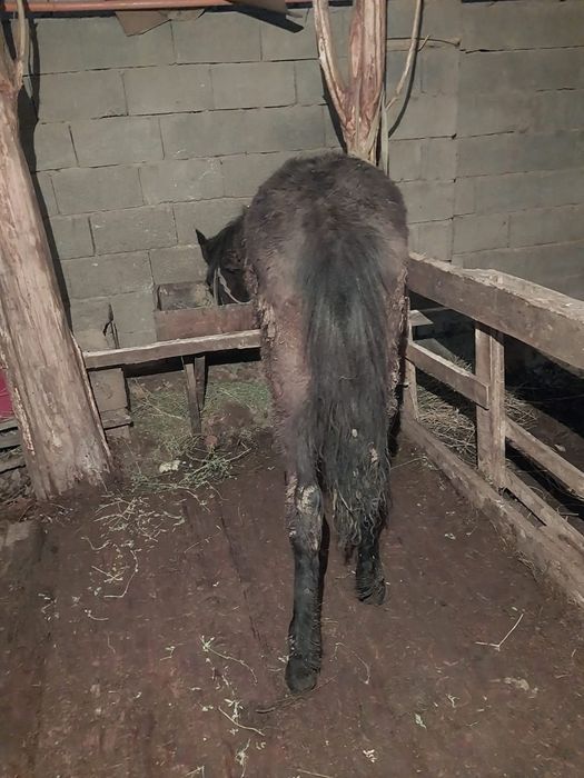 Ургашы Тай сатылады.