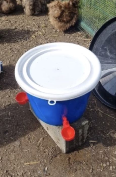 Автомотични поилки за птици