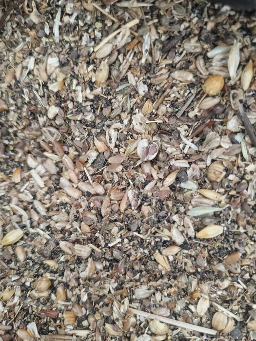 Продам отходы Льна